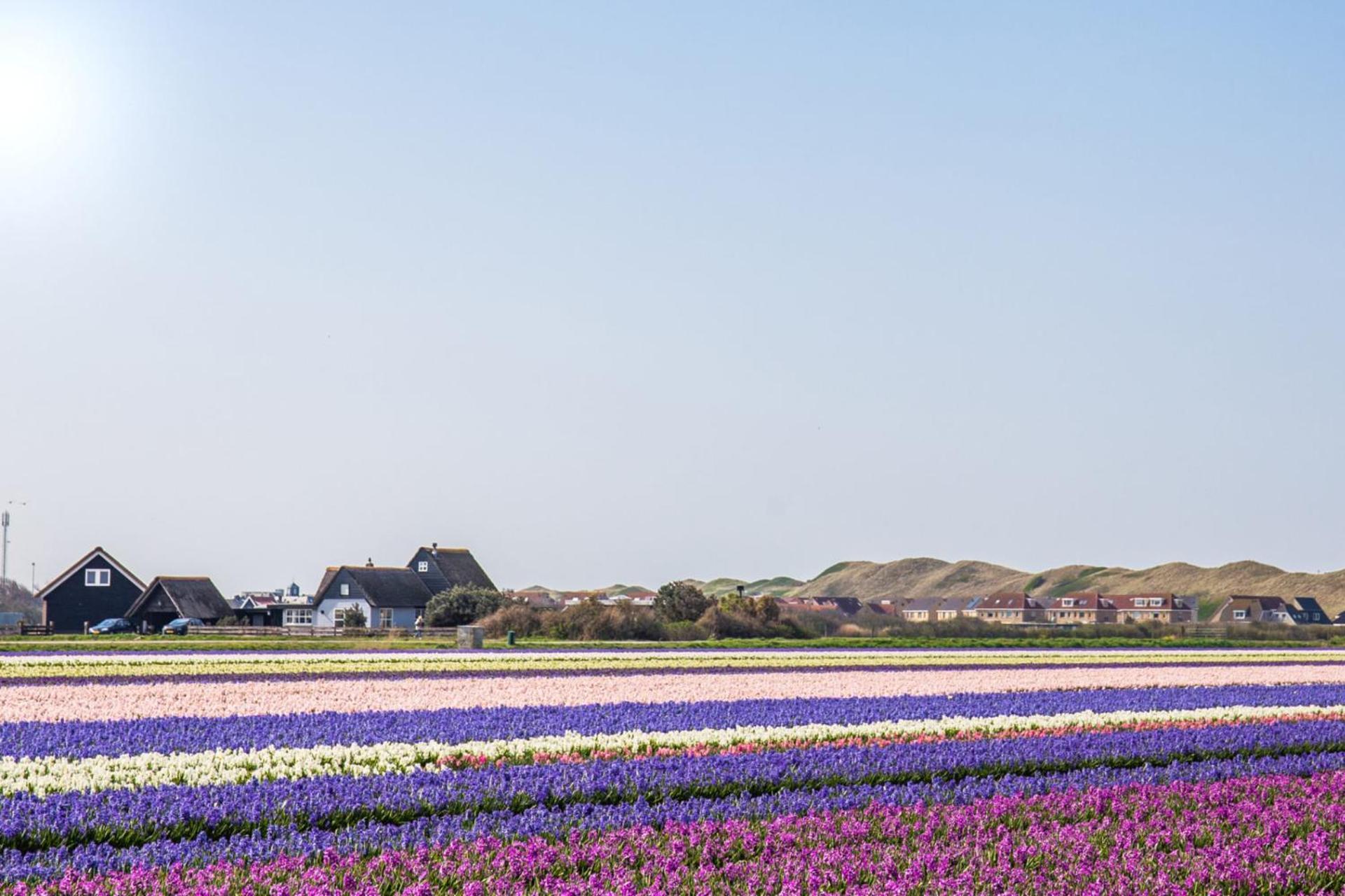 Beach Appartement 17 - Aan De Duinen, Callantsoog Aan Zee Luaran gambar