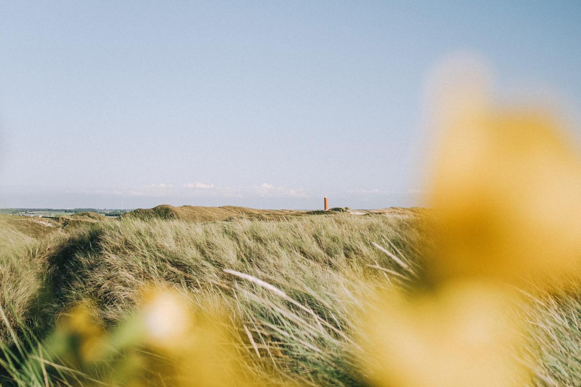 Beach Appartement 17 - Aan De Duinen, Callantsoog Aan Zee Luaran gambar